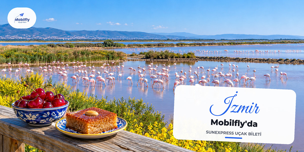Gediz Deltası'nda tuzla havuzlarındaki flamingolar, İzmir